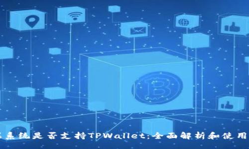 br
苹果系统是否支持TPWallet：全面解析和使用指导