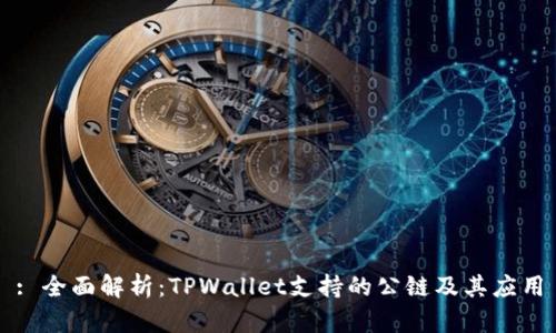 : 全面解析：TPWallet支持的公链及其应用