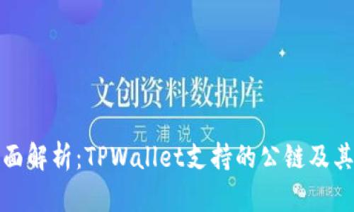: 全面解析：TPWallet支持的公链及其应用