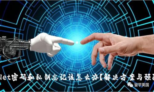tpwallet密码和私钥忘记该怎么办？解决方案与预防措施