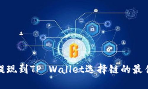 BNB提现到TP Wallet选择链的最佳指南