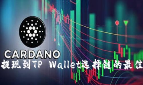 BNB提现到TP Wallet选择链的最佳指南