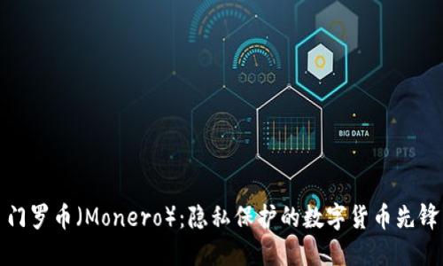 门罗币（Monero）：隐私保护的数字货币先锋