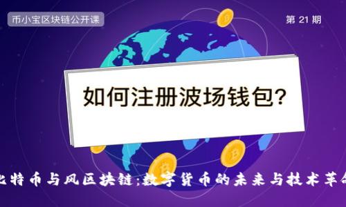比特币与风区块链：数字货币的未来与技术革命