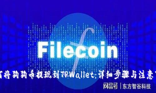 如何将狗狗币提现到TPWallet：详细步骤与注意事项