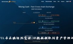 全面解析FIL币区块链浏览器：从数据提取到资产