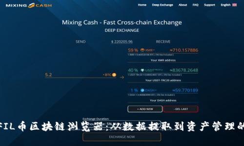 全面解析FIL币区块链浏览器：从数据提取到资产管理的具体成果