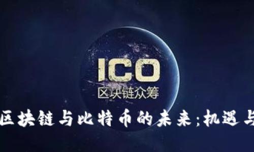 韩国区块链与比特币的未来：机遇与挑战