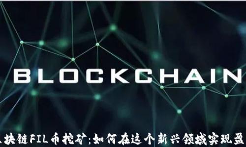 
区块链FIL币挖矿：如何在这个新兴领域实现盈利