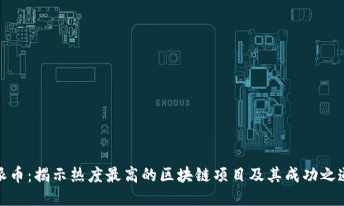 派币：揭示热度最高的区块链项目及其成功之道