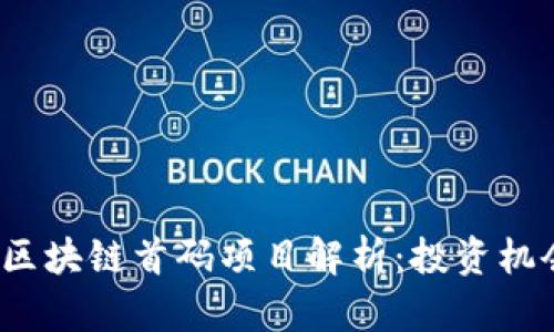 2023年最新区块链首码项目解析：投资机会与风险并重