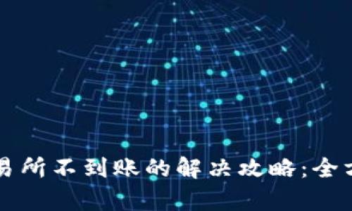 TPWallet提币到交易所不到账的解决攻略：全方位解析与实用建议