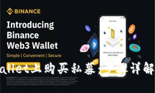 如何在TPWallet上购买私募：步骤详解与实用攻略