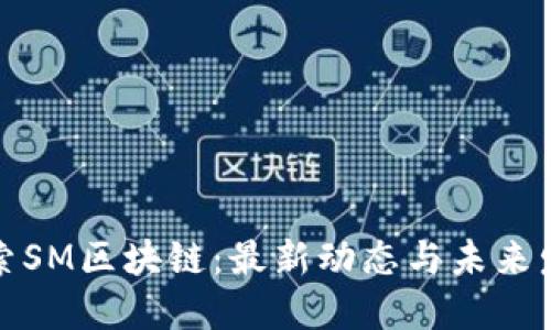 探索SM区块链：最新动态与未来发展