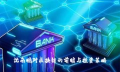 沈南鹏对区块链的前瞻与投资策略