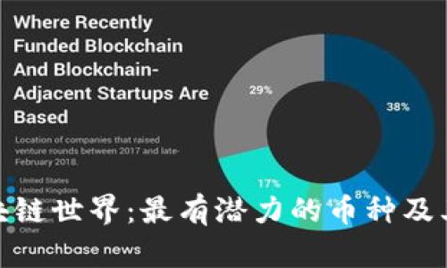 : 探索区块链世界：最有潜力的币种及其未来发展