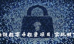 如何选择最佳区块链数字币投资项目：实现财富