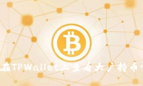 如何在TPWallet上查看大户持币情况？