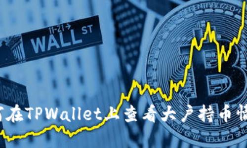如何在TPWallet上查看大户持币情况？
