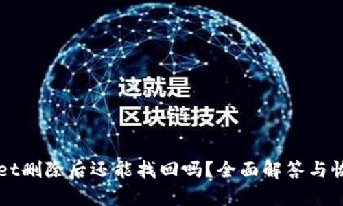 TPWallet删除后还能找回吗？全面解答与恢复方法