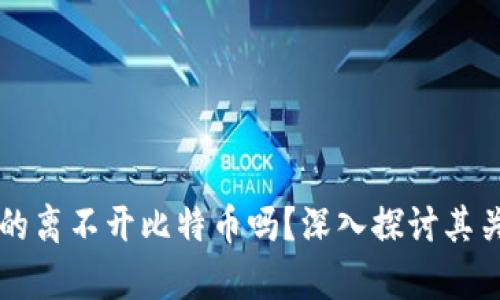 区块链真的离不开比特币吗？深入探讨其关系和未来