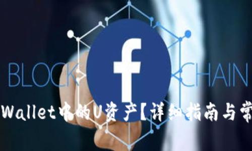 如何追回TPWallet中的U资产？详细指南与常见问题解析