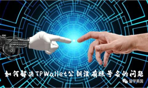 如何解决TPWallet公钥没有账号名的问题