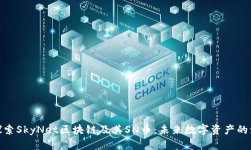 : 探索SkyNet区块链及其SN币：未来数字资产的演变