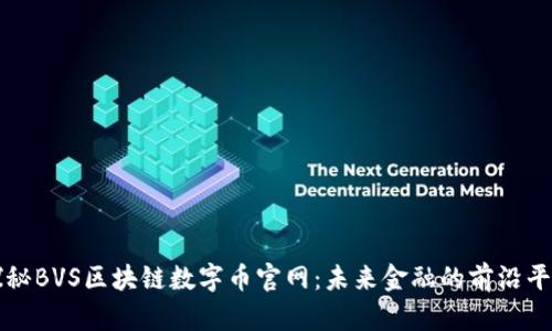 探秘BVS区块链数字币官网：未来金融的前沿平台